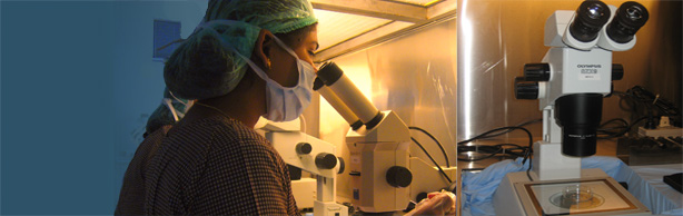 Assisted Reproductive Technology Center (ARTC) - Womens Center